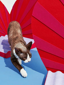 Love-themed cat scratcher, with a unique heart design, providing a fun spot for your feline.
