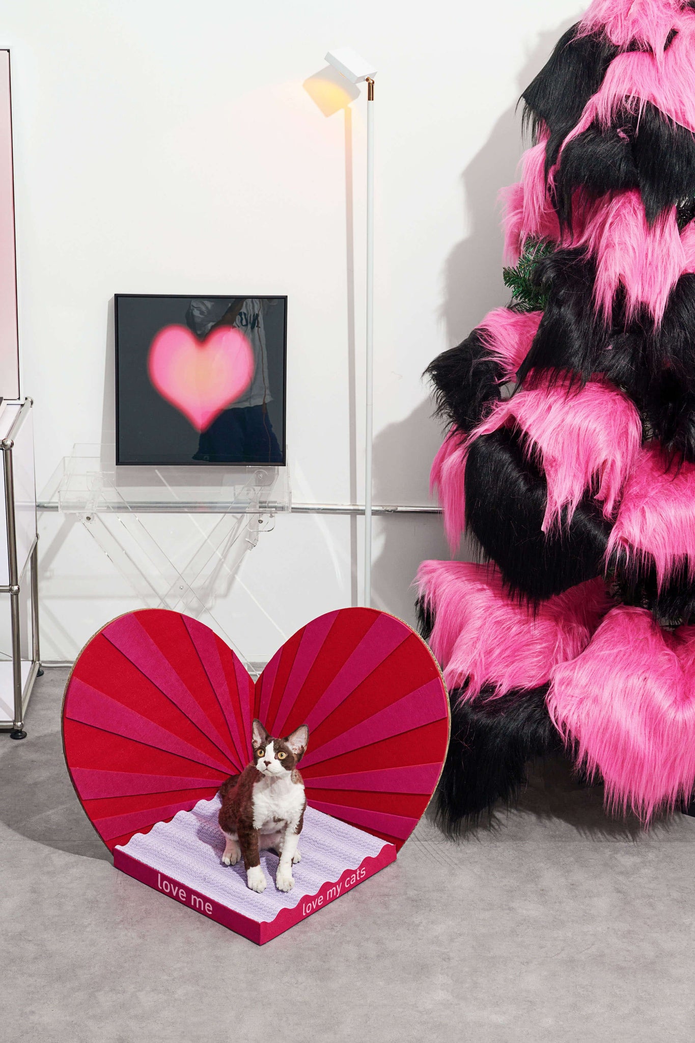 Cat sitting on a red and pink heart-shaped scratcher with a textured base.