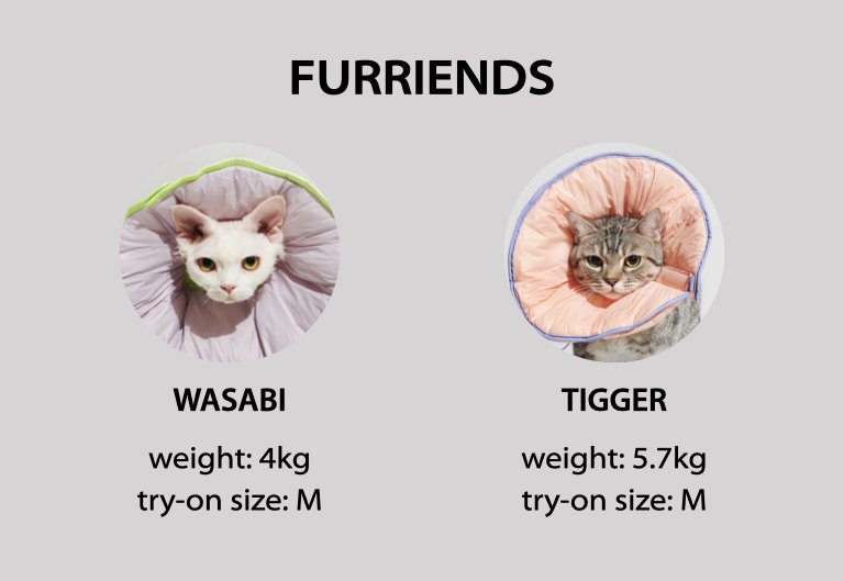 Reversible Padded Pet Recovery E-Collar - Purple Grey and Fluo Green