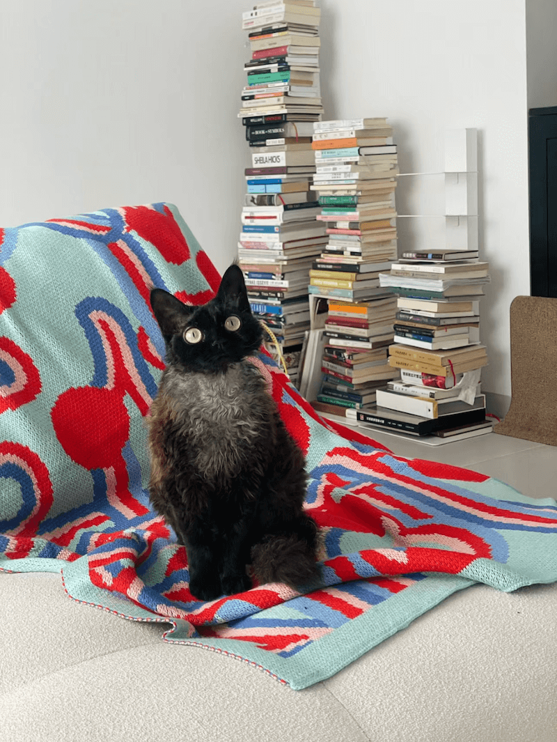 Design Knitted Blanket for All Seasons