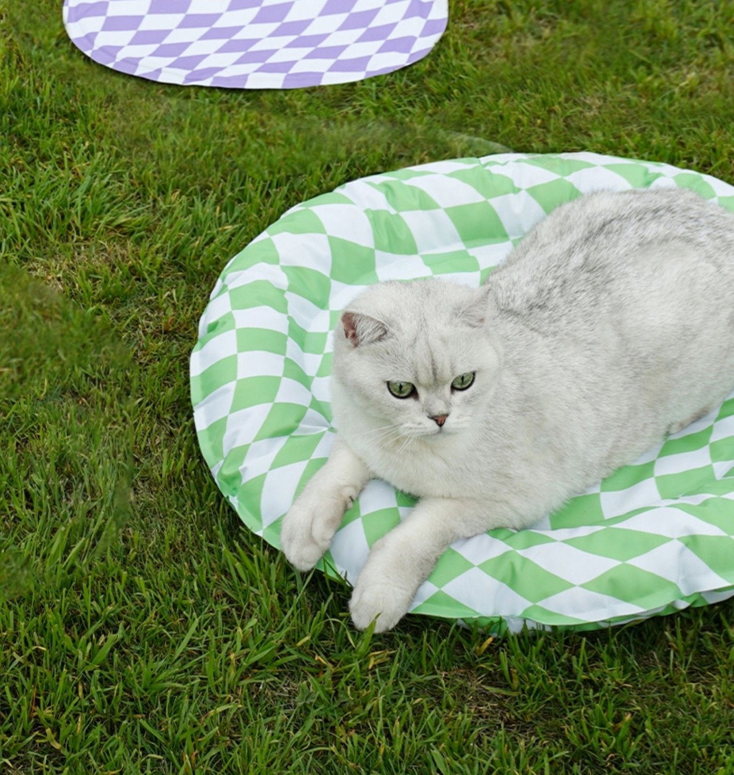Diamond Pattern Cooling Pet Bed - #Green