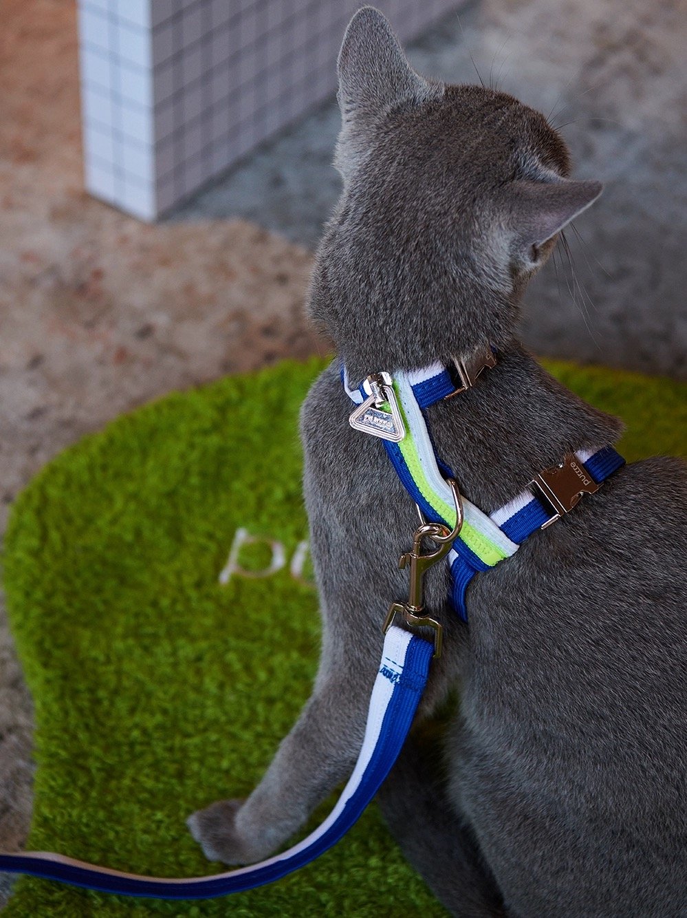 Unzip Pet Harness & Leash - #Blue & White