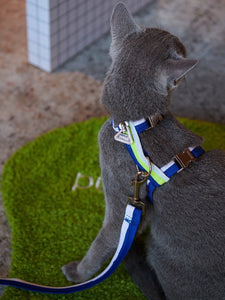 Unzip Pet Harness & Leash - #Blue & White