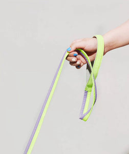 Unzip Pet Harness & Leash - #Blue & White