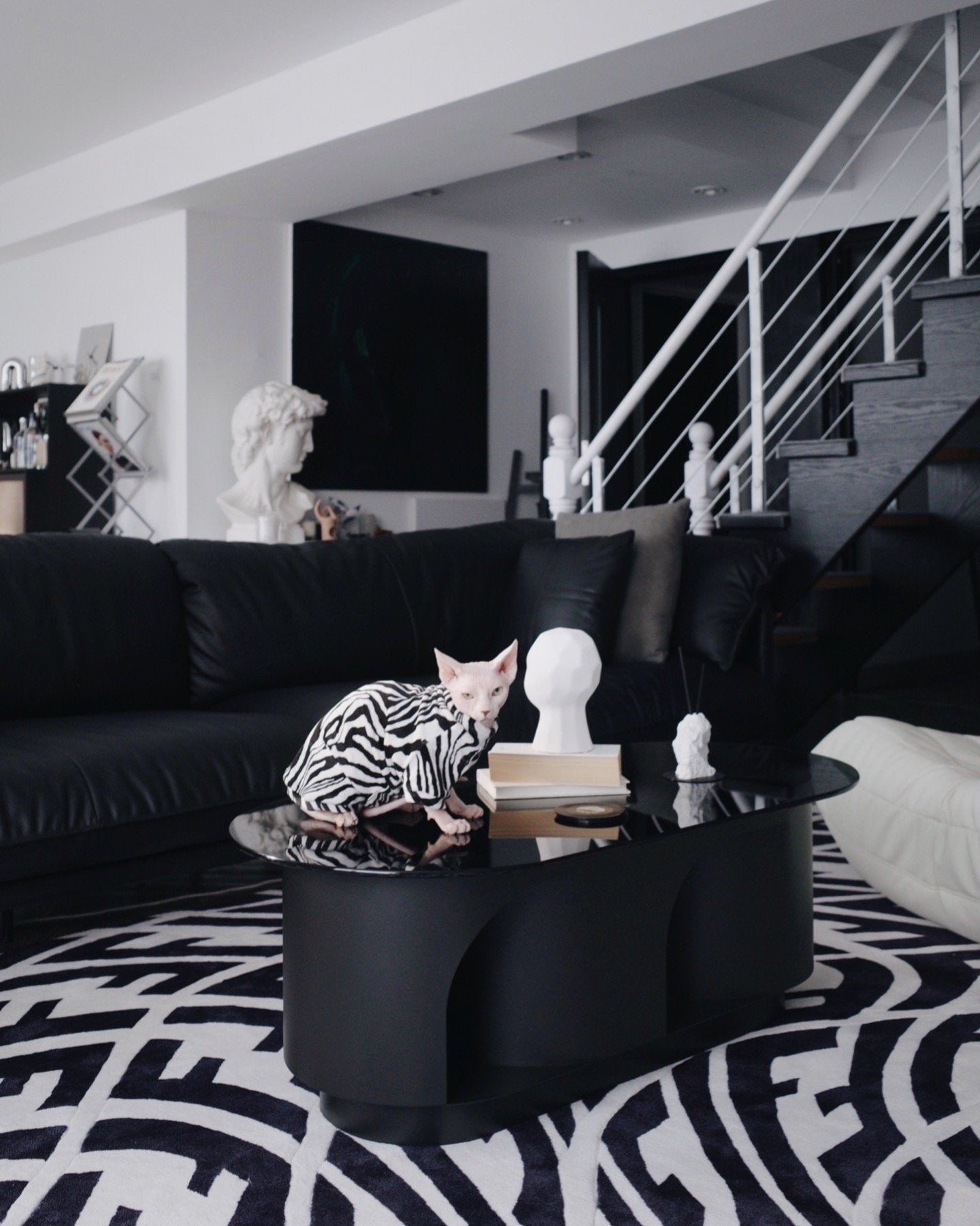 Pet-friendly Furniture, Cave Tunnel Coffee Table - #Black
