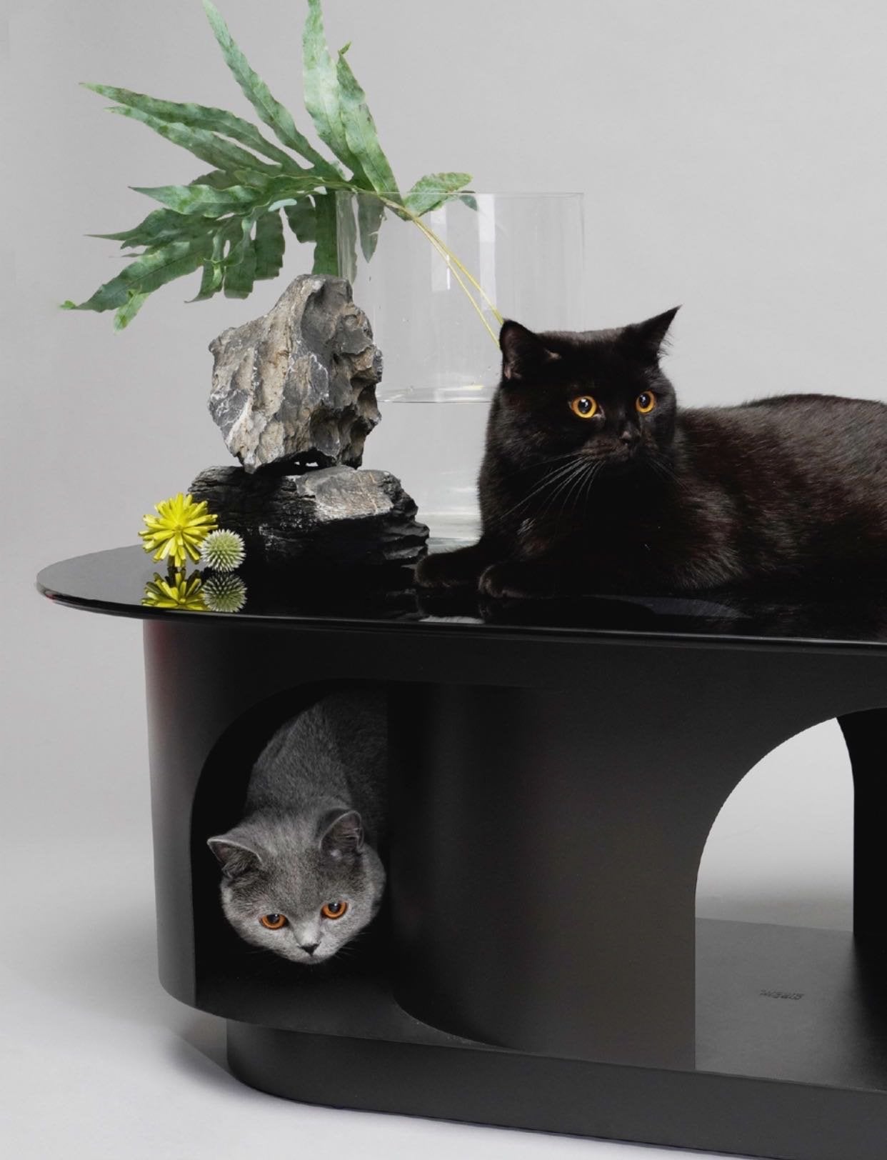 Pet-friendly Furniture, Cave Tunnel Coffee Table - #Black