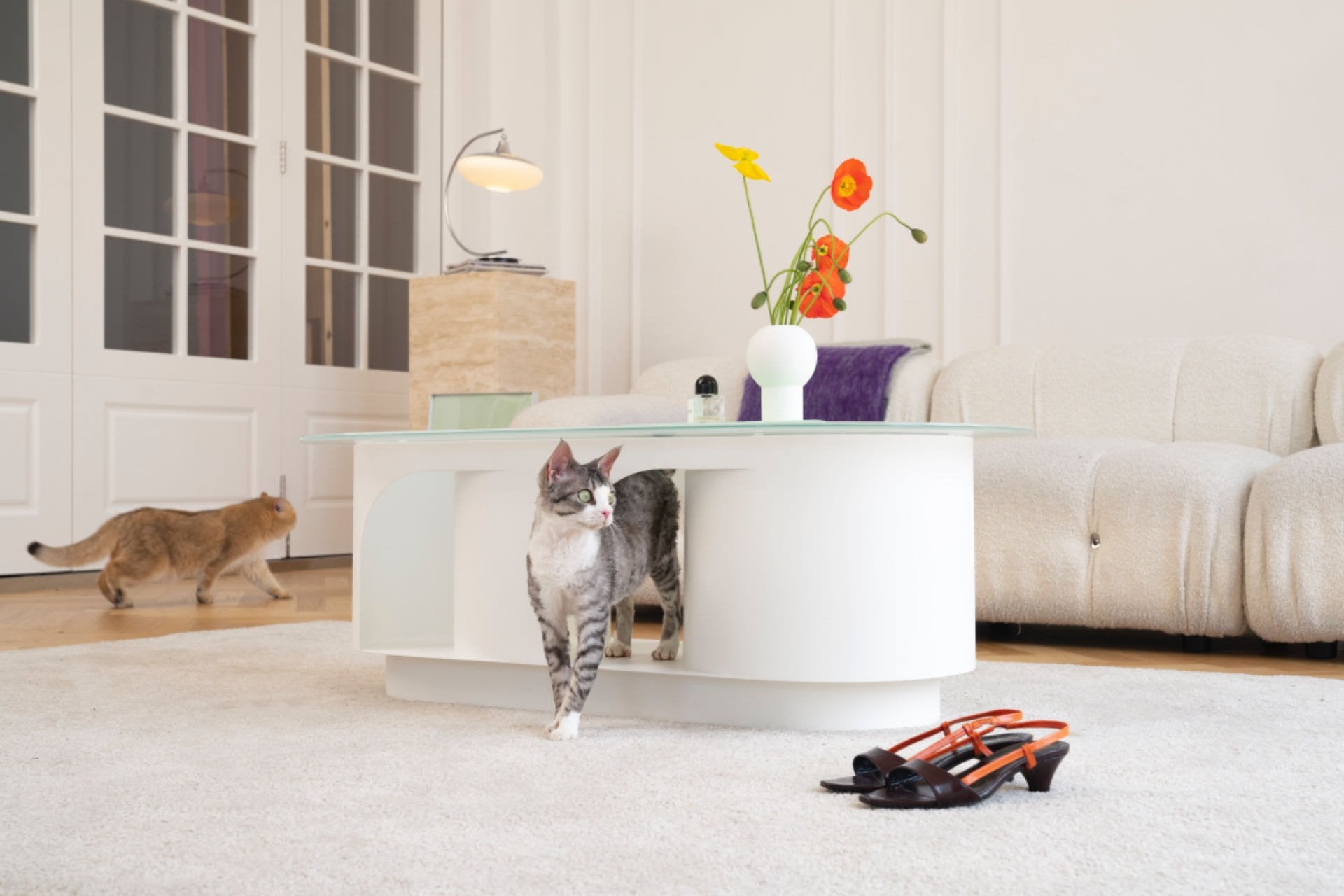 Pet-friendly Furniture, Cave Tunnel Coffee Table - #White