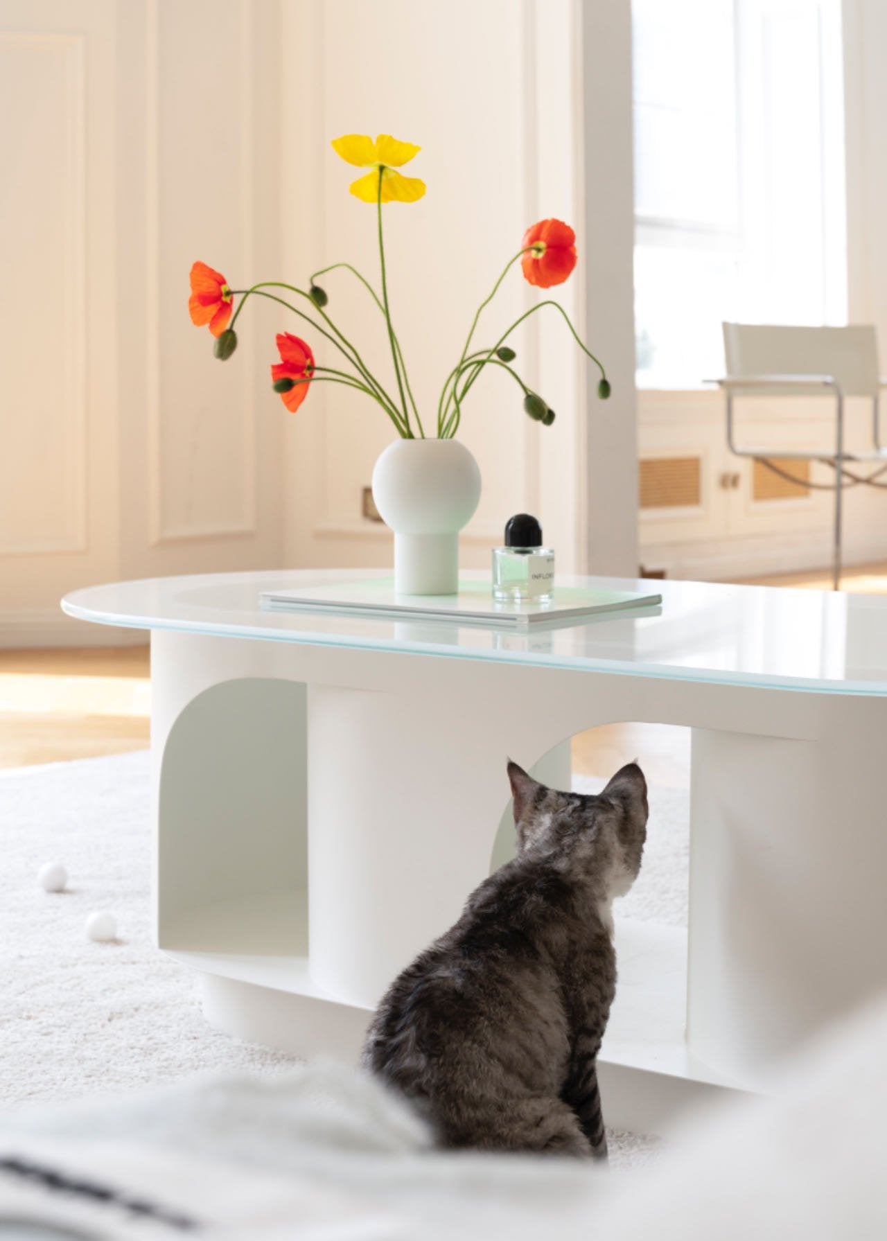 Pet-friendly Furniture, Cave Tunnel Coffee Table - #White