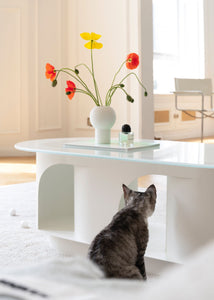 Pet-friendly Furniture, Cave Tunnel Coffee Table - #White