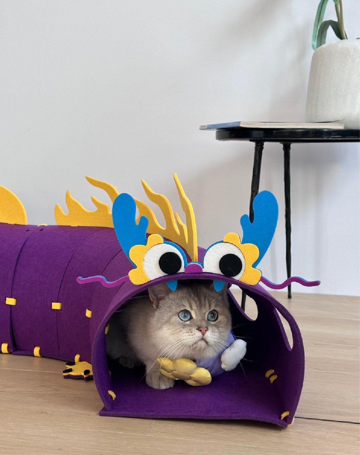 Design Cat Felt Tunnel Toy Dragon Edition Interactive Cat Toy and Pewos