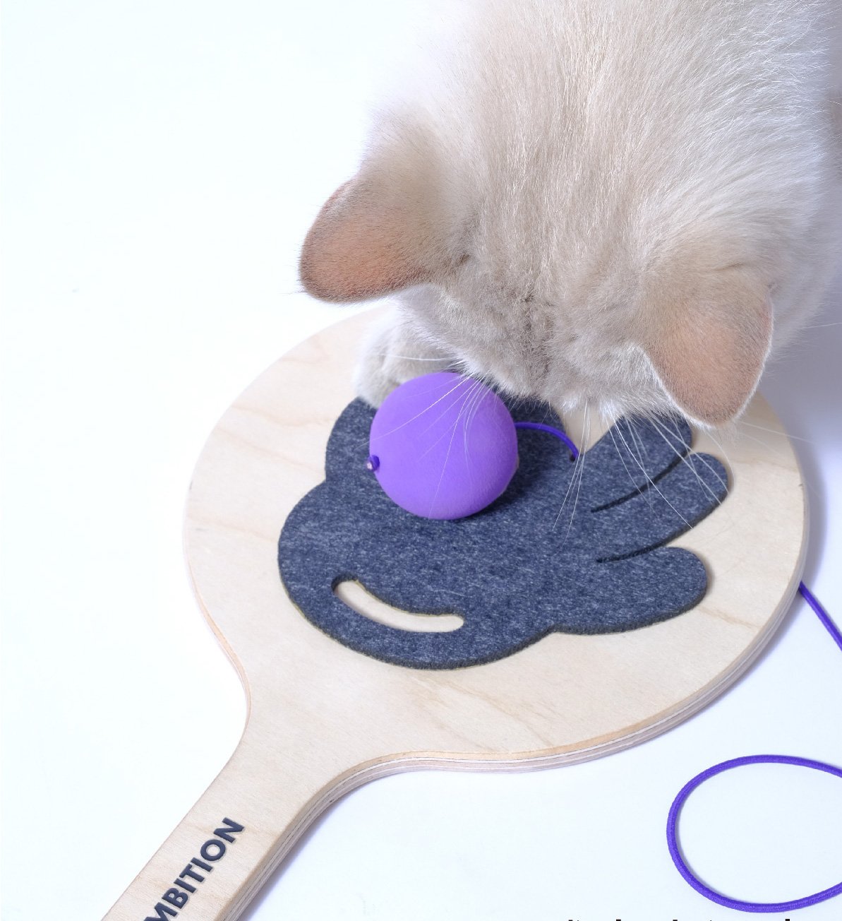 Interactive Ping Pong Cat Toy