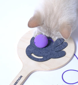 Interactive Ping Pong Cat Toy